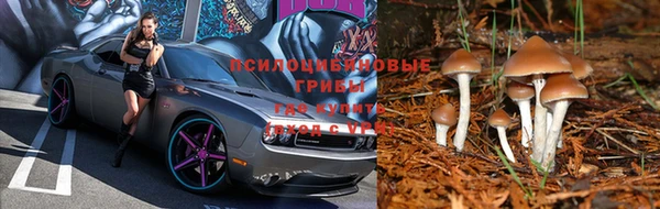 меф Вязьма