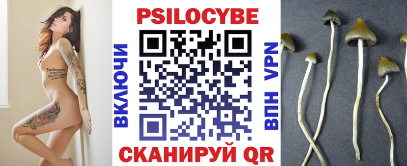 Псилоцибиновые грибы прущие грибы  Купить закладки  Тында 